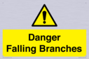 danger-falling-branches~
